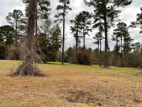 Tiny photo for Lot 19 Wisteria Lane, Havana, FL 32333 (MLS # 399360)