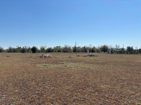 Tiny photo for 2009 NE Rutherford Road, Lee, FL 32059 (MLS # 398022)