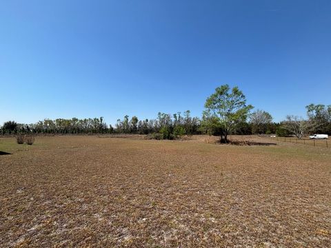 Tiny photo for 2009 NE Rutherford Road, Lee, FL 32059 (MLS # 398022)