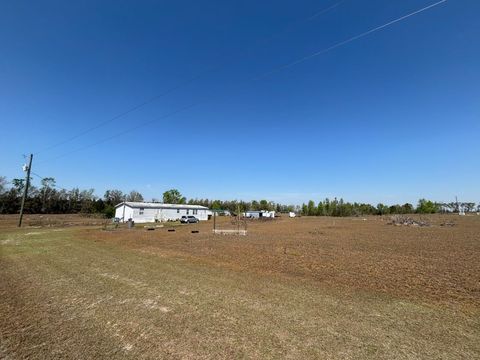 Tiny photo for 2009 NE Rutherford Road, Lee, FL 32059 (MLS # 398022)