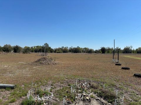 Tiny photo for 2009 NE Rutherford Road, Lee, FL 32059 (MLS # 398022)