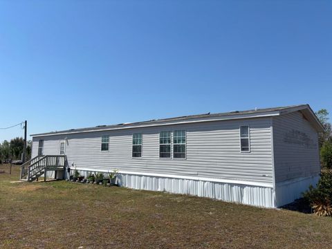 Tiny photo for 2009 NE Rutherford Road, Lee, FL 32059 (MLS # 398022)