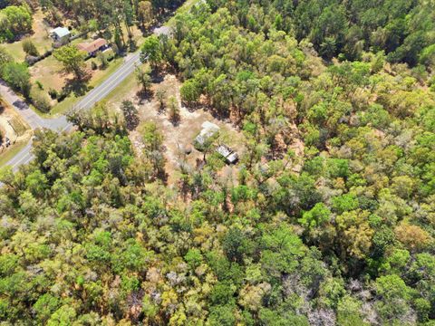 Tiny photo for 3554 Bristol Highway, Quincy, FL 32351 (MLS # 399121)