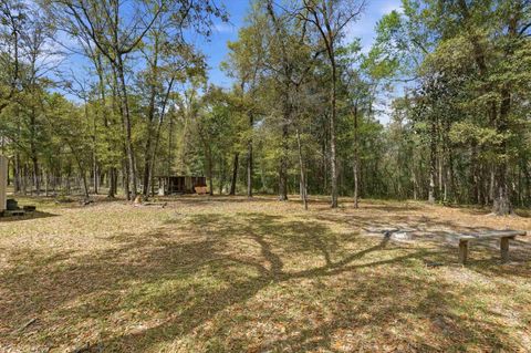 Tiny photo for 3554 Bristol Highway, Quincy, FL 32351 (MLS # 399121)
