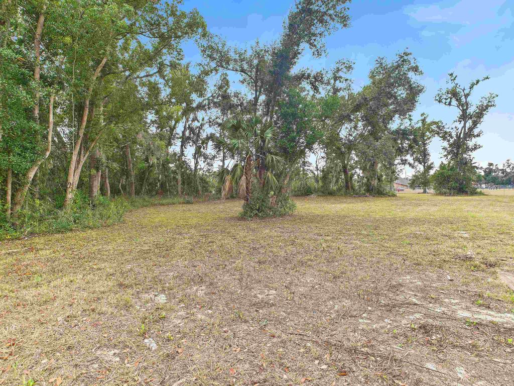 Photo of Vacant Marshall Drive, Perry, FL 32347 (MLS # 393893)