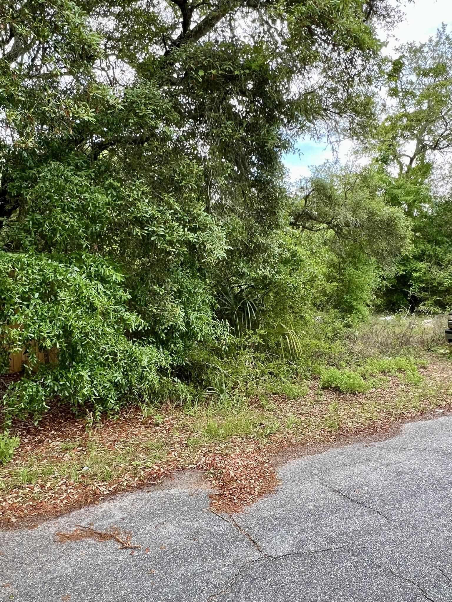 2519 Palmetto Terrace