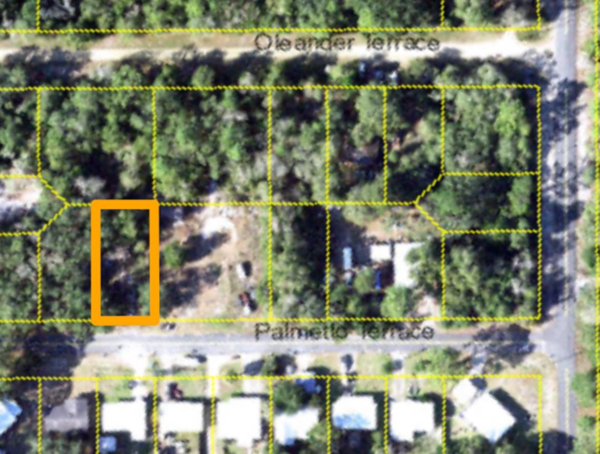 2519 Palmetto Terrace