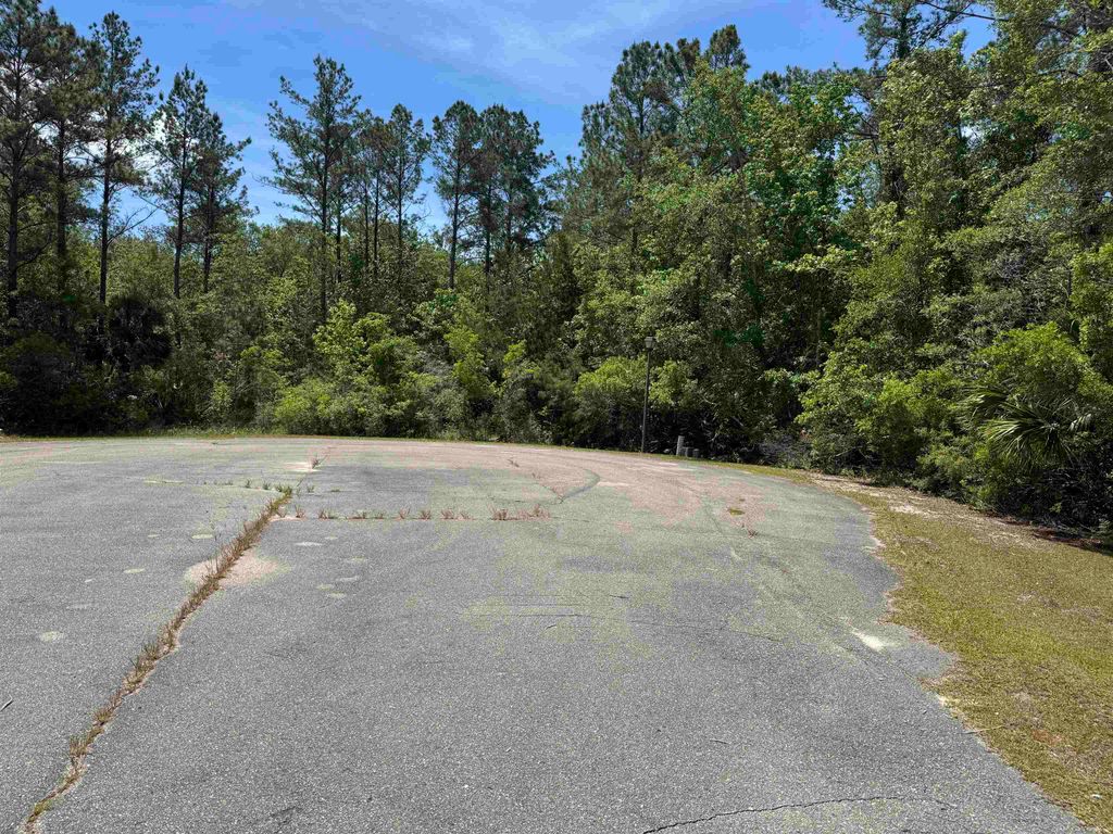 Photo of x CABBAGE PALM Court, St Marks, FL 32355 (MLS # 399576)