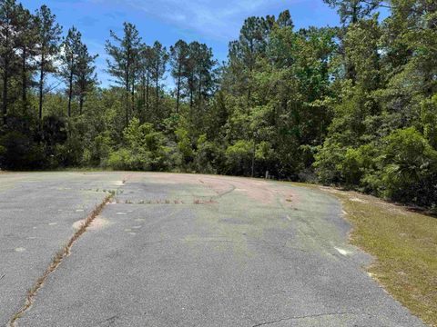 Tiny photo for x CABBAGE PALM Court, St Marks, FL 32355 (MLS # 399576)