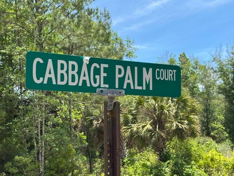 Photo of x CABBAGE PALM Court, St Marks, FL 32355 (MLS # 399576)