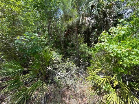 Tiny photo for x CABBAGE PALM Court, St Marks, FL 32355 (MLS # 399576)