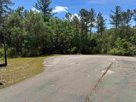 Tiny photo for x CABBAGE PALM Court, St Marks, FL 32355 (MLS # 399576)