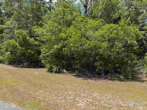 Tiny photo for x CABBAGE PALM Court, St Marks, FL 32355 (MLS # 399576)