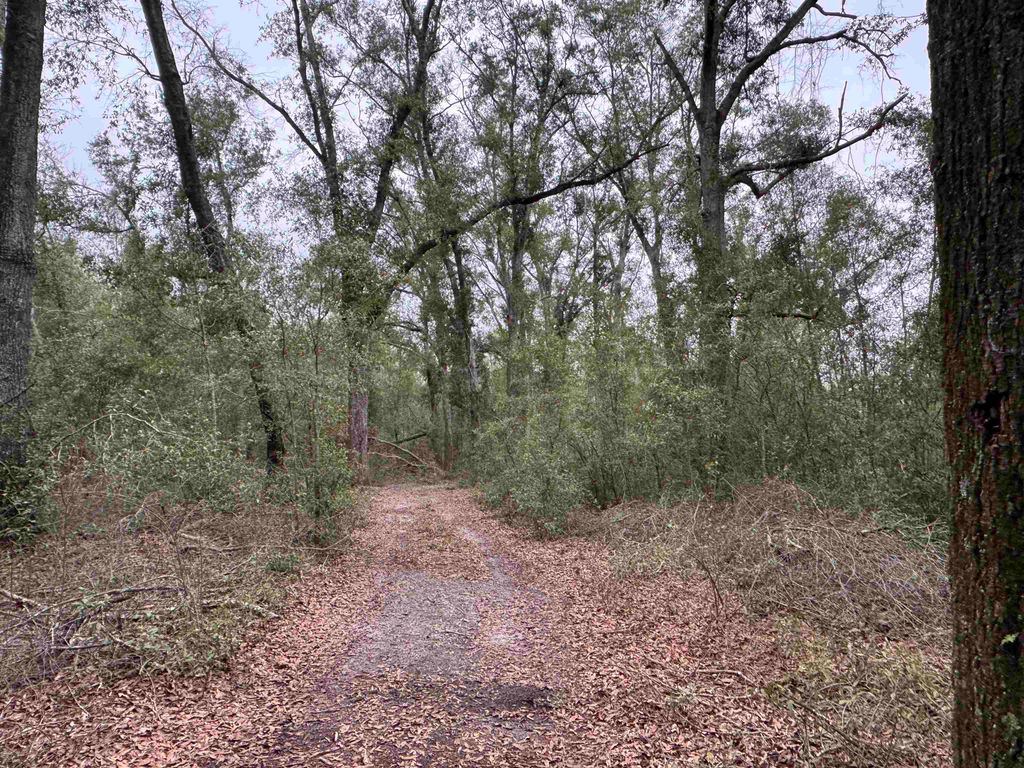 Photo of Parcel 6 E US 90 Highway, Lee, FL 32059 (MLS # 394612)