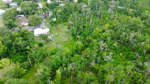 Tiny photo for 00 Calhoun St., Perry, FL 32348 (MLS # 401523)