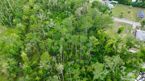 Tiny photo for 00 Calhoun St., Perry, FL 32348 (MLS # 401523)