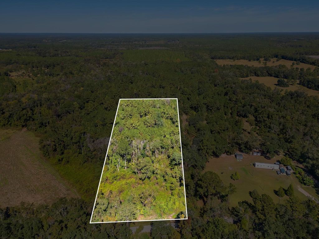 Photo of TBD Barnes Road, Monticello, FL 32344 (MLS # 392612)