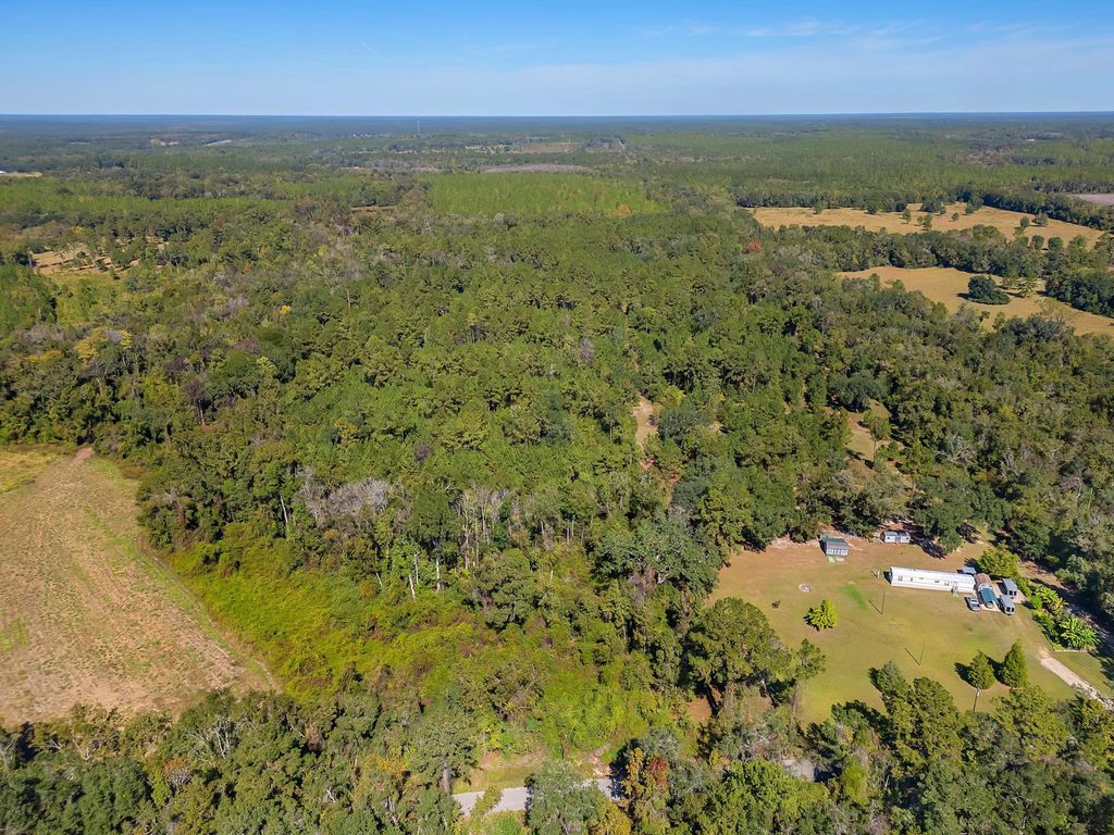 Photo of TBD Barnes Road, Monticello, FL 32344 (MLS # 392612)