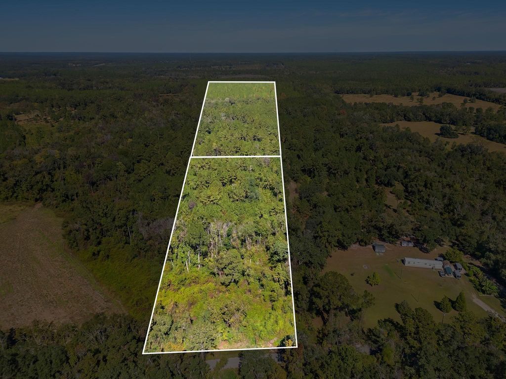 Photo of TBD Barnes Road, Monticello, FL 32344 (MLS # 392612)