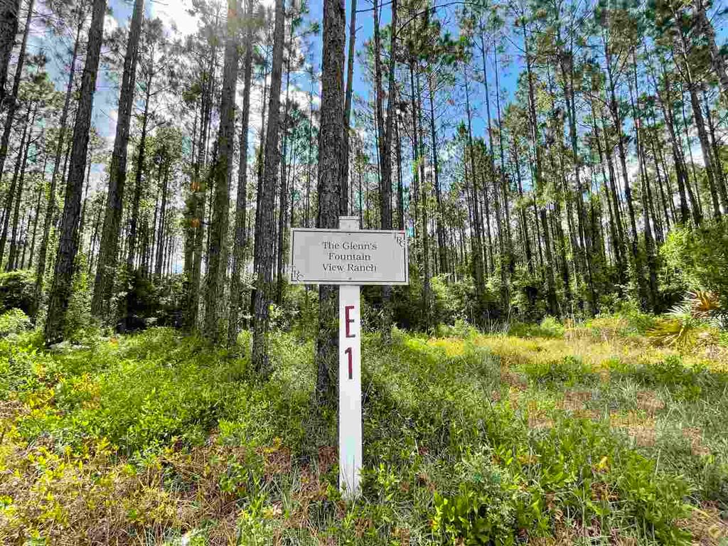 Ranch Club Road, Tallahassee, FL 32305 MLS 333134 Listing