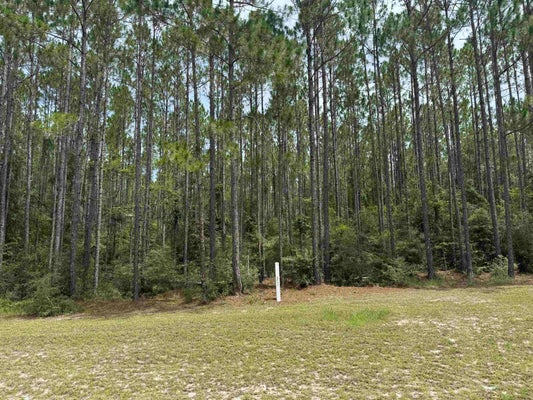 BLOCK DR F, TALLAHASSEE, FL 32304 - Image 6b43523eebe52fdbf28bee12a53c4151/2993805943