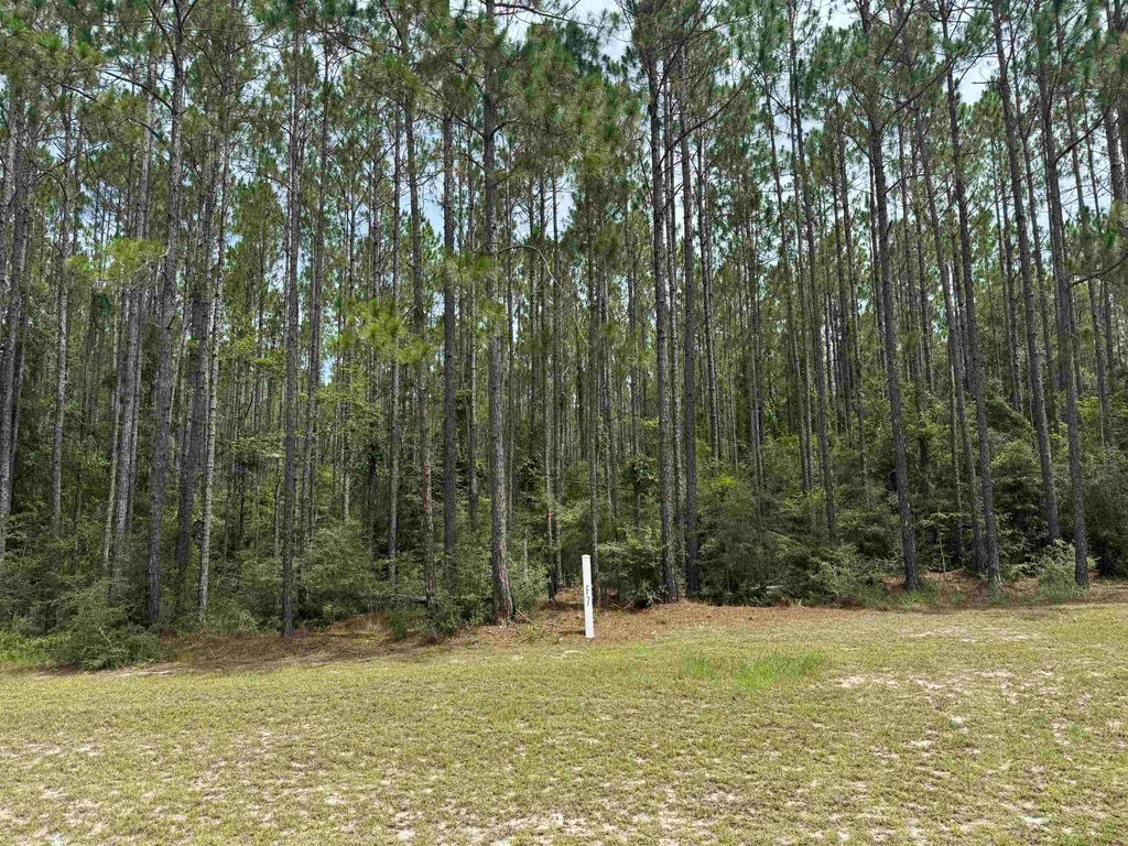 Photo of Lot 7 Block F Ranch Club Road, Tallahassee, FL 32305 (MLS # 401727)