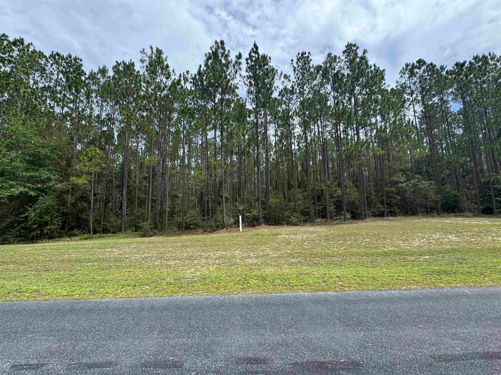 Photo of Lot 7 Block F Ranch Club Road, Tallahassee, FL 32305 (MLS # 401727)