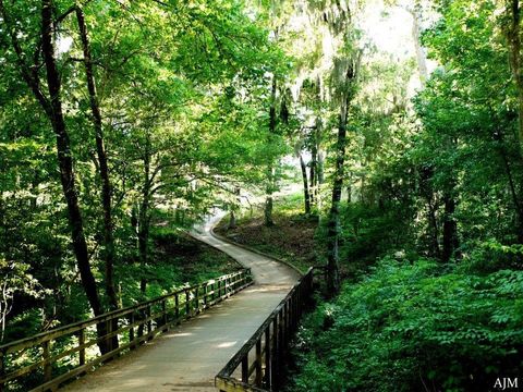 Tiny photo for 7604 PRESERVATION, Tallahassee, FL 32312 (MLS # 398566)