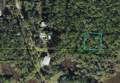 Lot 9&10 Judy Street Crawfordville FL 32327