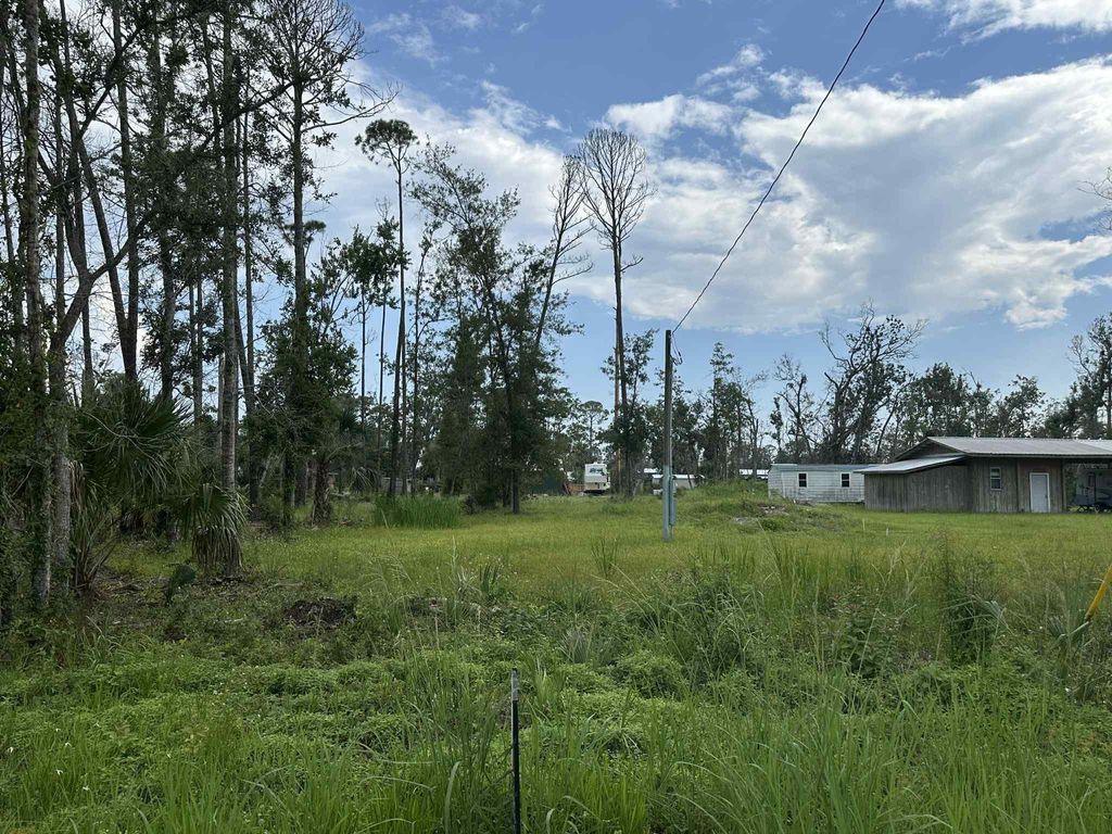 Photo of Lot 5 Fifth Avenue Avenue, Steinhatchee, FL 32359 (MLS # 392346)