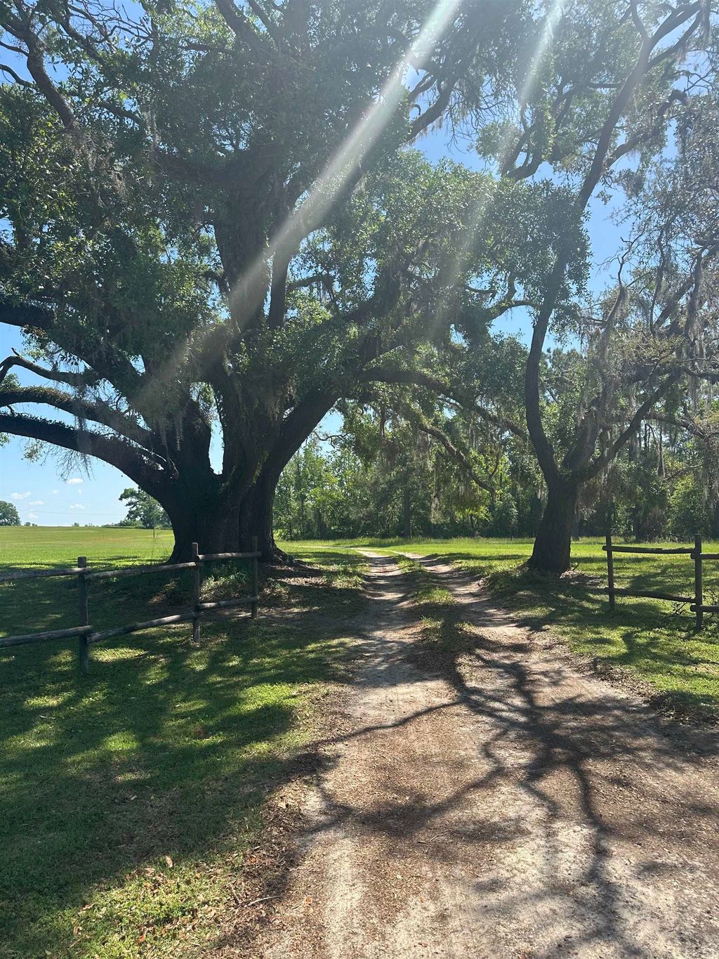 Photo of 3282 NW US 221 Highway, Greenville, FL 32331 (MLS # 385635)