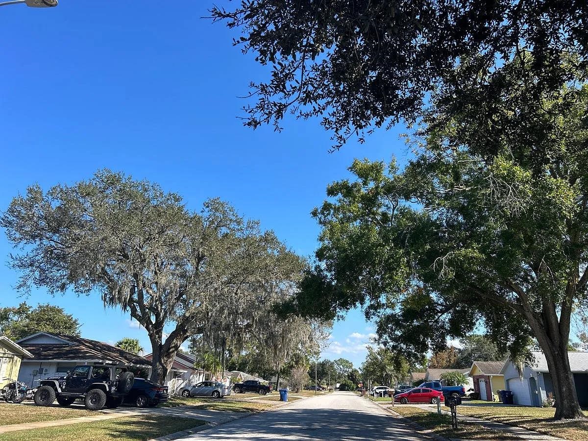 8305 Fishhawk Avenue