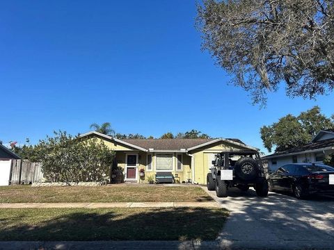 8305 Fishhawk Avenue New Port Richey FL 34653