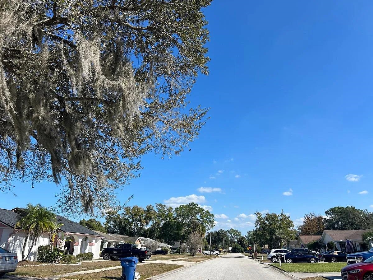 8305 Fishhawk Avenue