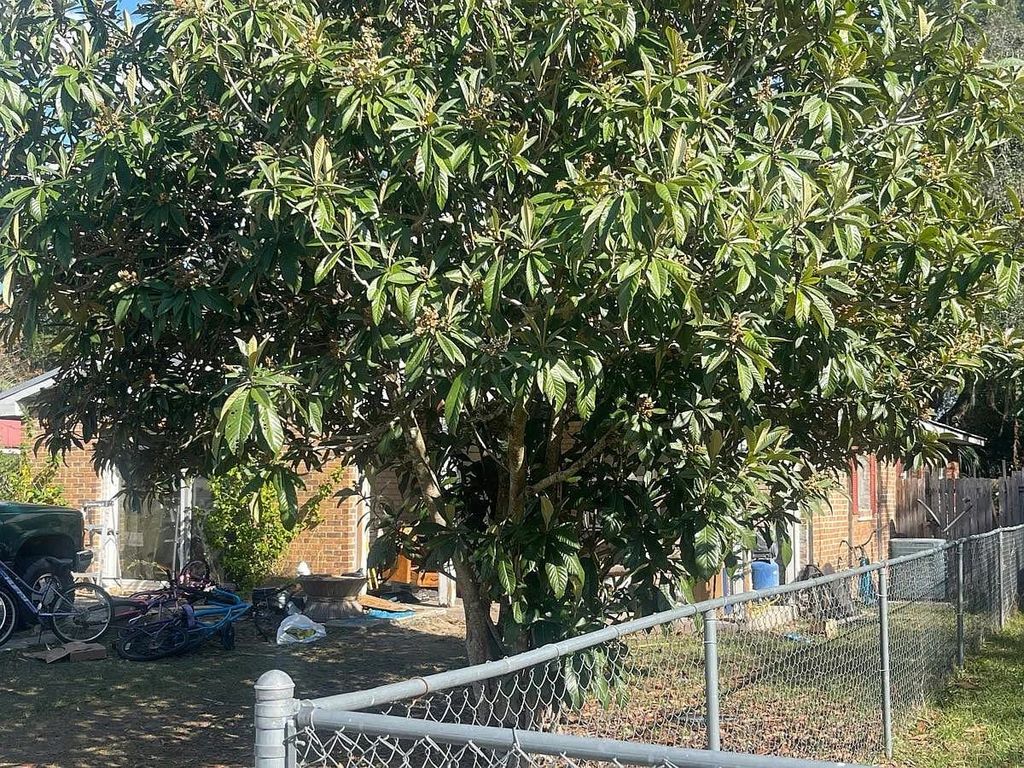 Photo of 131 Park Road, Other Florida, FL 32148 (MLS # 397243)