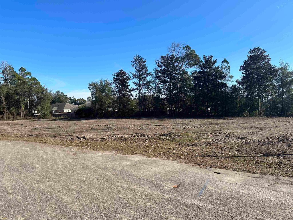 Photo of XX Towles Road, Crawfordville, FL 32327 (MLS # 396440)