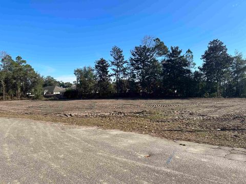 Towles Road Crawfordville FL 32327