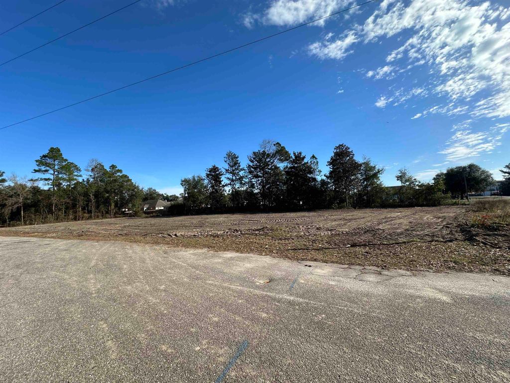 Photo of XX Towles Road, Crawfordville, FL 32327 (MLS # 396440)