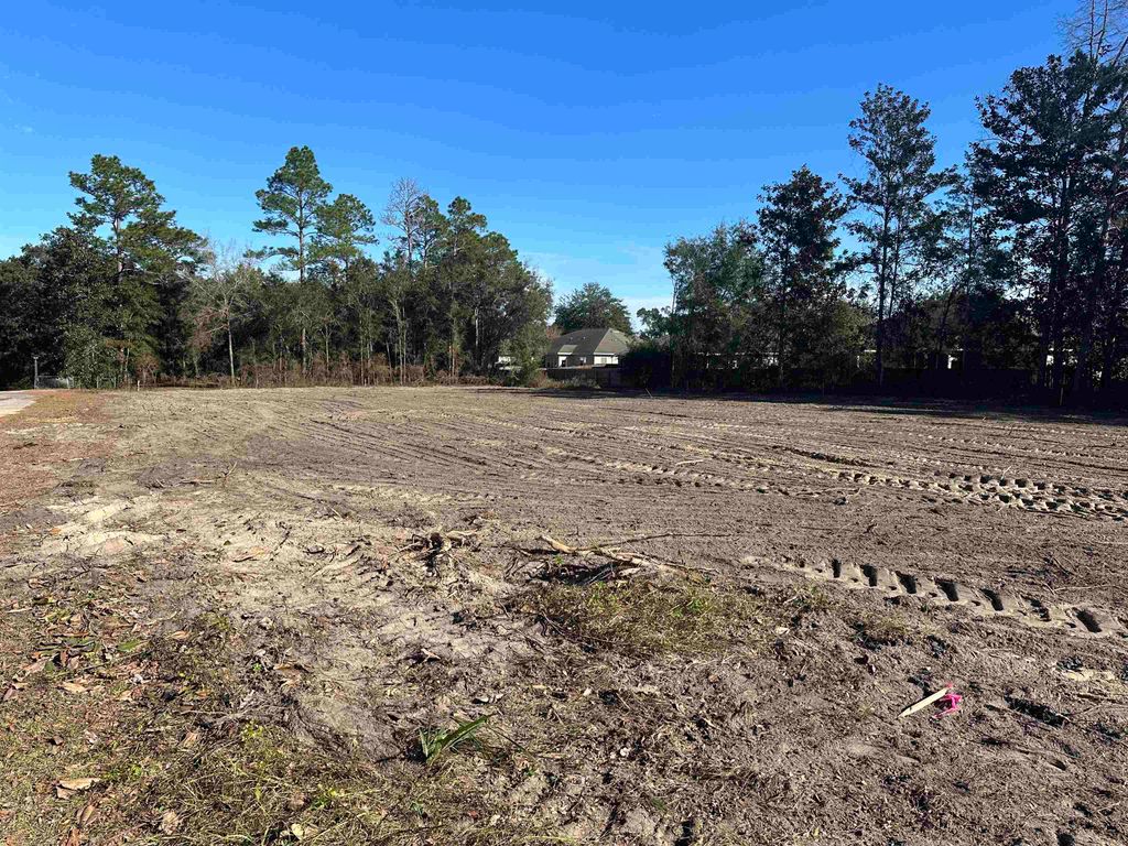 Photo of XX Towles Road, Crawfordville, FL 32327 (MLS # 396440)