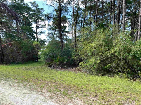 Tiny photo for xxx Peggy Lane, Carrabelle, FL 32322 (MLS # 401495)