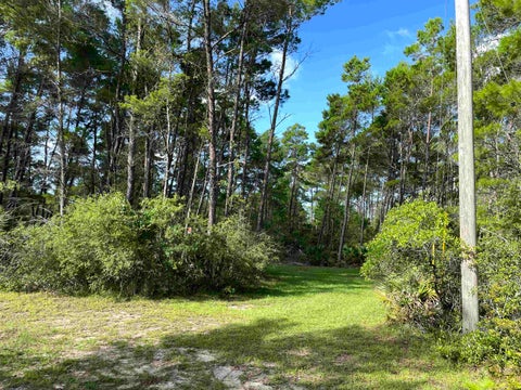 Tiny photo for xxx Peggy Lane, Carrabelle, FL 32322 (MLS # 401495)