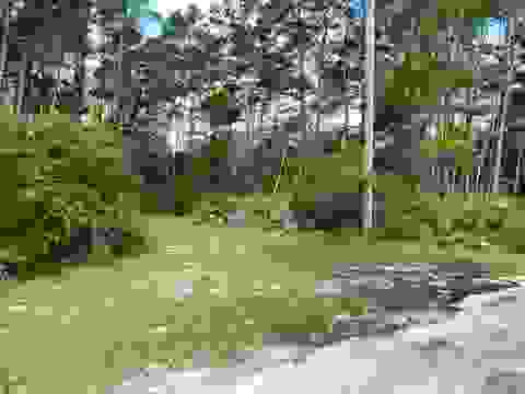 Tiny photo for xxx Peggy Lane, Carrabelle, FL 32322 (MLS # 401495)