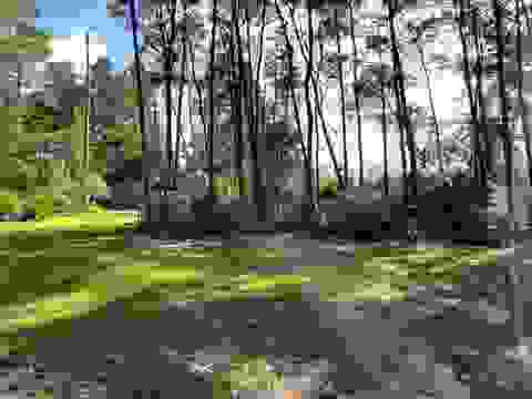 Tiny photo for xxx Peggy Lane, Carrabelle, FL 32322 (MLS # 401495)