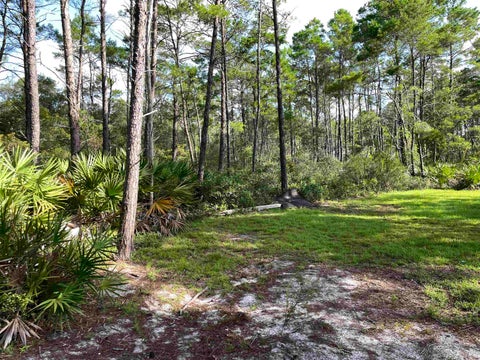 Tiny photo for xxx Peggy Lane, Carrabelle, FL 32322 (MLS # 401495)