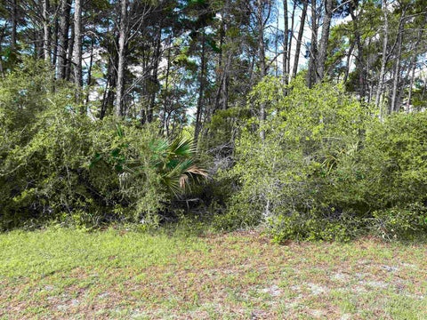Tiny photo for xxx Peggy Lane, Carrabelle, FL 32322 (MLS # 401495)