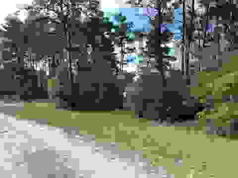 Tiny photo for xxx Peggy Lane, Carrabelle, FL 32322 (MLS # 401495)