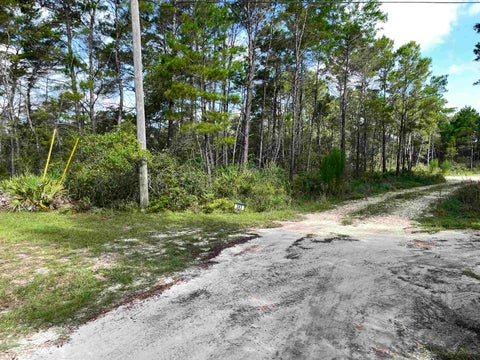 Tiny photo for xxx Peggy Lane, Carrabelle, FL 32322 (MLS # 401495)