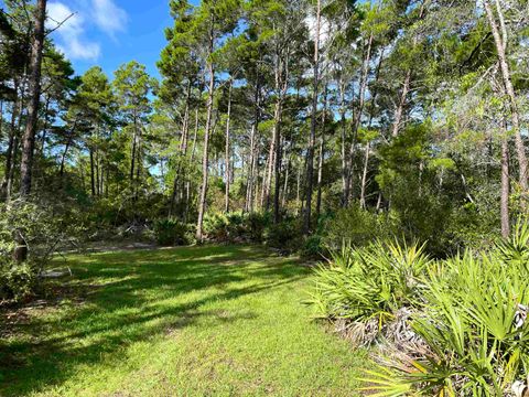 Tiny photo for xxx Peggy Lane, Carrabelle, FL 32322 (MLS # 401495)