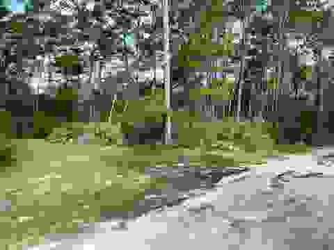 Tiny photo for xxx Peggy Lane, Carrabelle, FL 32322 (MLS # 401495)