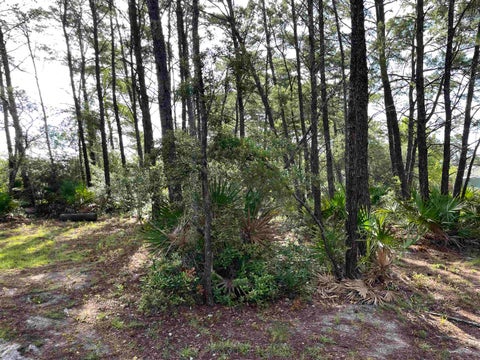Tiny photo for xxx Peggy Lane, Carrabelle, FL 32322 (MLS # 401495)
